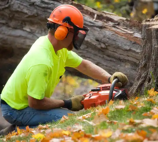 tree services Guntown